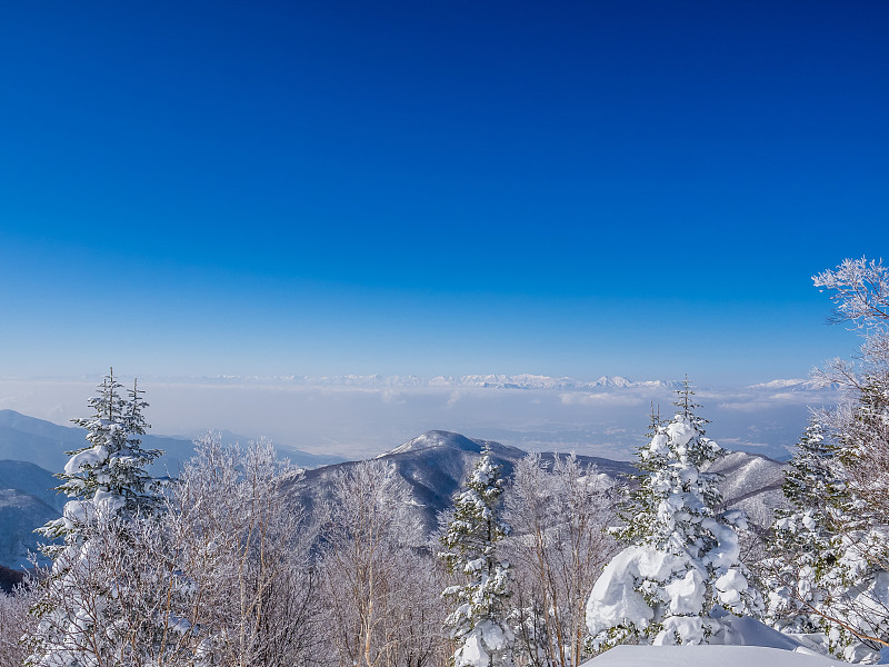 冬天的雪景