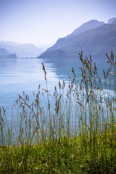 瑞士湖Brienz