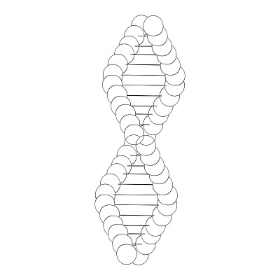 DNA分子