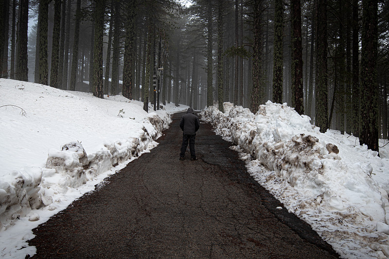 冬季的森林景观有白雪覆盖的高山和空旷冰冻的道路。