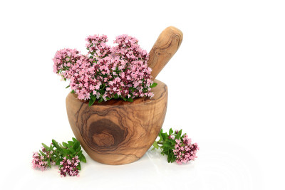 牛至药草花治疗肠易激综合征