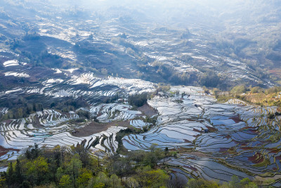 原阳县梯田景观