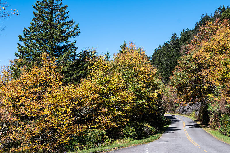 道路蜿蜒通过秋天的阿巴拉契亚山脉沿着蓝岭公园大道