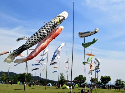 koinobori。群马县大田的日本传统鲤鱼形风帽