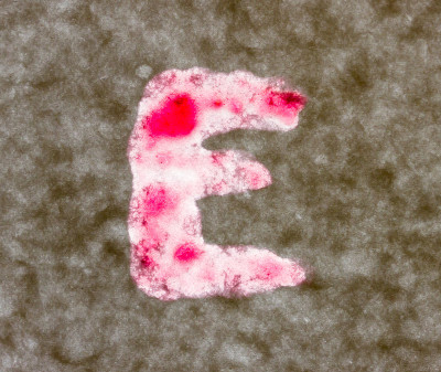 字母E。