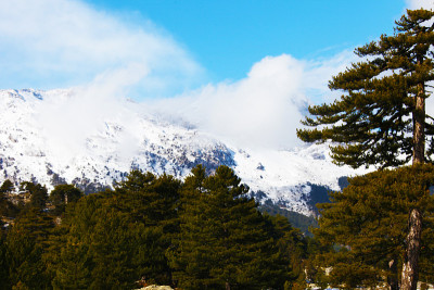 冬天的背景