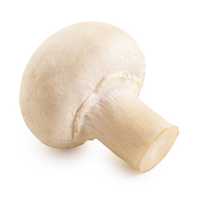 蘑菇。