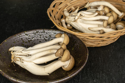 灰色的石头上有棕色的shimeji蘑菇