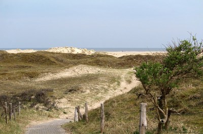 Dünenlandschaft