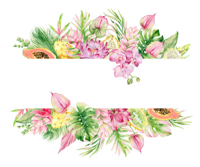 水彩画框架热带水果，花和棕榈叶。