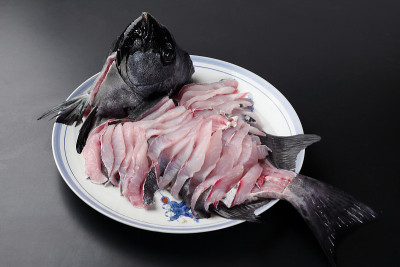 条纹beakfish生鱼片
