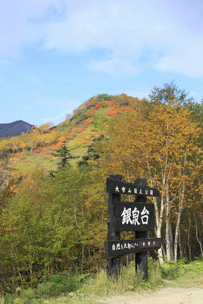 银Springs-trailhead