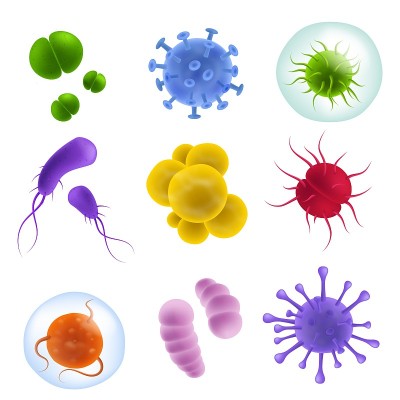 现实的病毒类型。3d细菌和细菌、微生物形状和流感杆菌、COVID-19病原体。生物科学实验室。彩色微