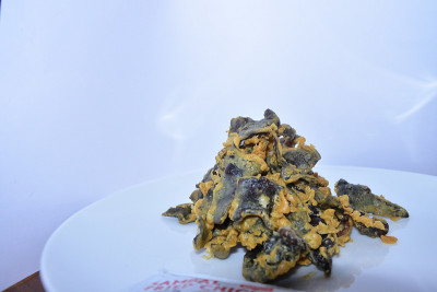 木耳蘑菇片