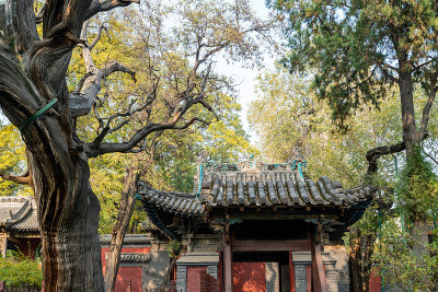 秋天，公园里有中国古建筑的阁楼和银杏树