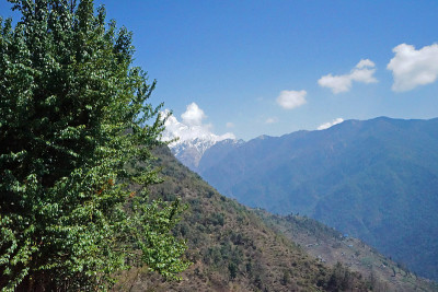 尼泊尔，在乌云密布的蓝天下，徒步前往戈雷帕尼潘山欣赏绿色山景