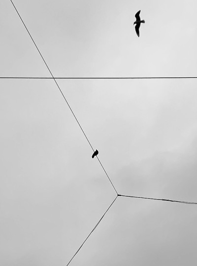 空中边界冲突