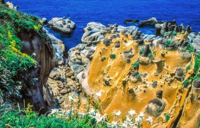 台湾海岸地质构造，和平岛公园