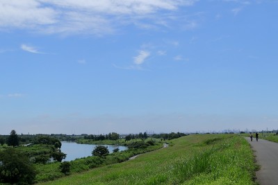 日本埼玉的风景
