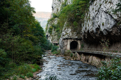 美丽，狭窄的杰尔马河峡谷，高悬崖，和岩石，周围的绿色植被，岩石隘口峡谷在塞尔维亚。