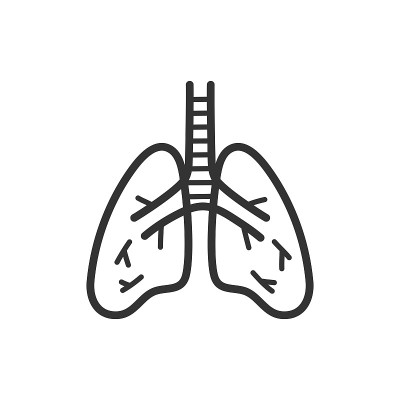 肺轮廓图标。医疗保健，医疗支持标志。矢量插图。