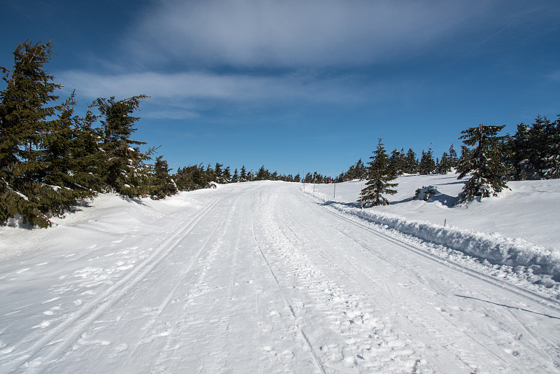 捷克共和国耶塞尼克山的普雷德山上覆盖着白雪的小路和蓝天