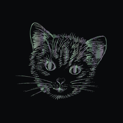 猫的头