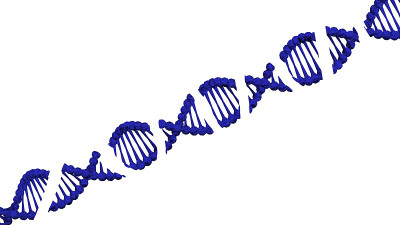 DNA分子解体。