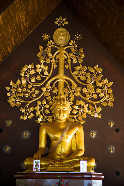 泰国诗琳通大虾寺的佛像