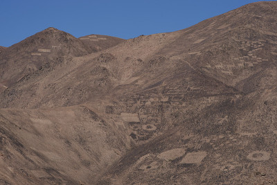 阿塔卡马沙漠Cerro Pintados的岩石雕刻