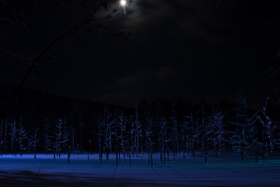 月光与夜湖
