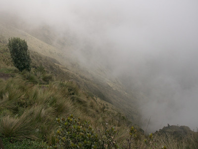 皮钦查火山的景色
