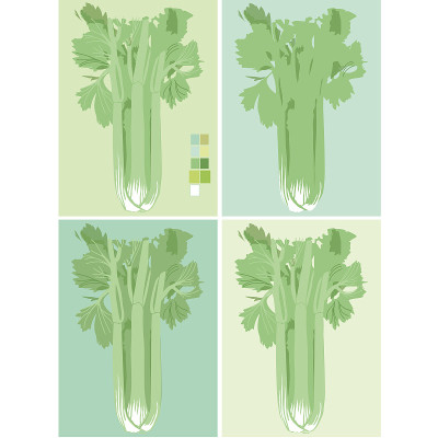 Modern Celery Stalk Vector Icon Set.