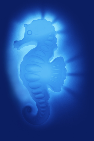 海马灯笼