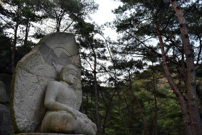 南山周围的佛像。公园/森林本身就像一个步行博物馆
