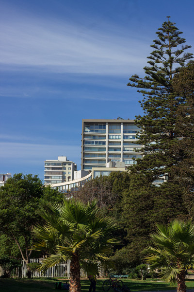 一点Viña del Mar