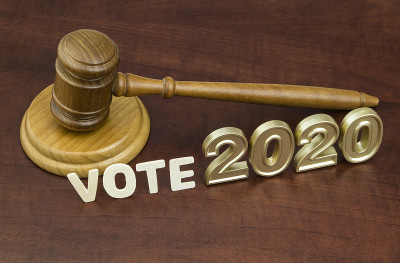 2020年选举的概念。