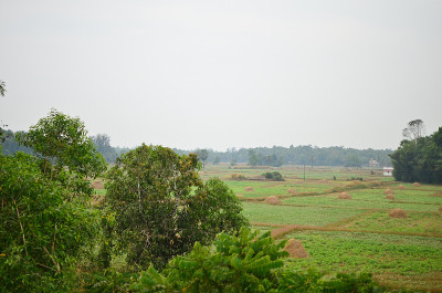 美丽的印度乡村风景