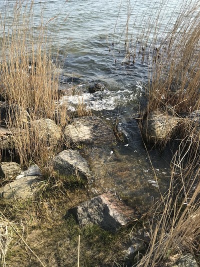吕根Coastline