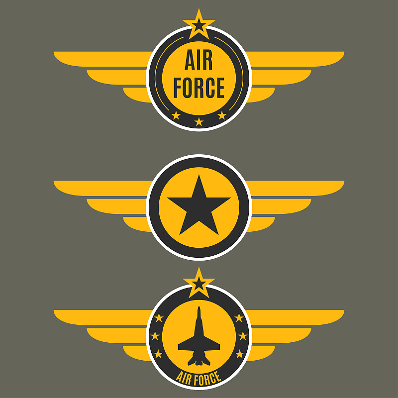 Air force badge set. Airforce logo with wings and 