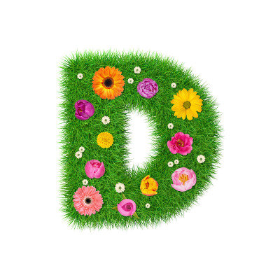 字母D用小草和五颜六色的花朵做成，以春季概念为平面设计拼贴