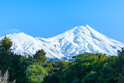 令人惊叹的白雪皑皑的埃格蒙特山，上面是常青树，下面是清澈的蓝天。