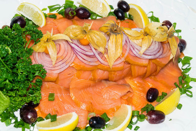 Salmo salar