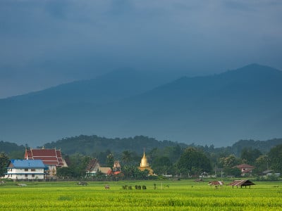寺庙在侧面图