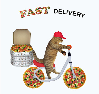 猫咪快递员骑自行车送披萨