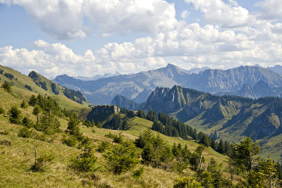 Bregenzwald