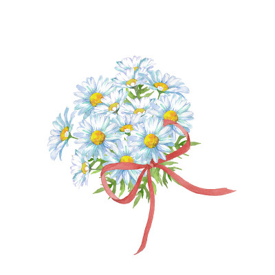 白色雏菊花束