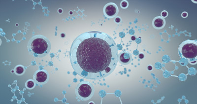 DNA分子和原子或细胞核