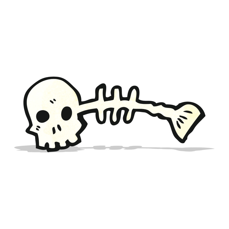 卡通鱼骨架