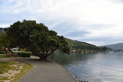 新西兰-阿卡罗-村庄和海岸线的全景